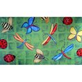 Custom Printed Rugs Custom Printed Rugs Dm-05 Bug Party Door Mat DM  05